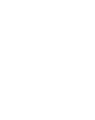 ibis